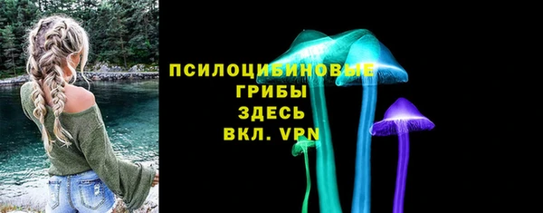 дмт Алзамай