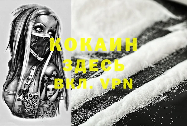 дмт Алзамай