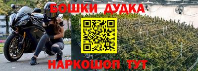 гидропоника Славгород