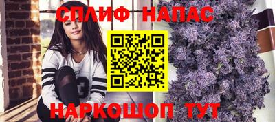 гидропоника Славгород