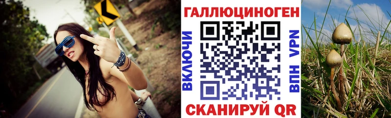 Псилоцибиновые грибы MAGIC MUSHROOMS  Подольск 