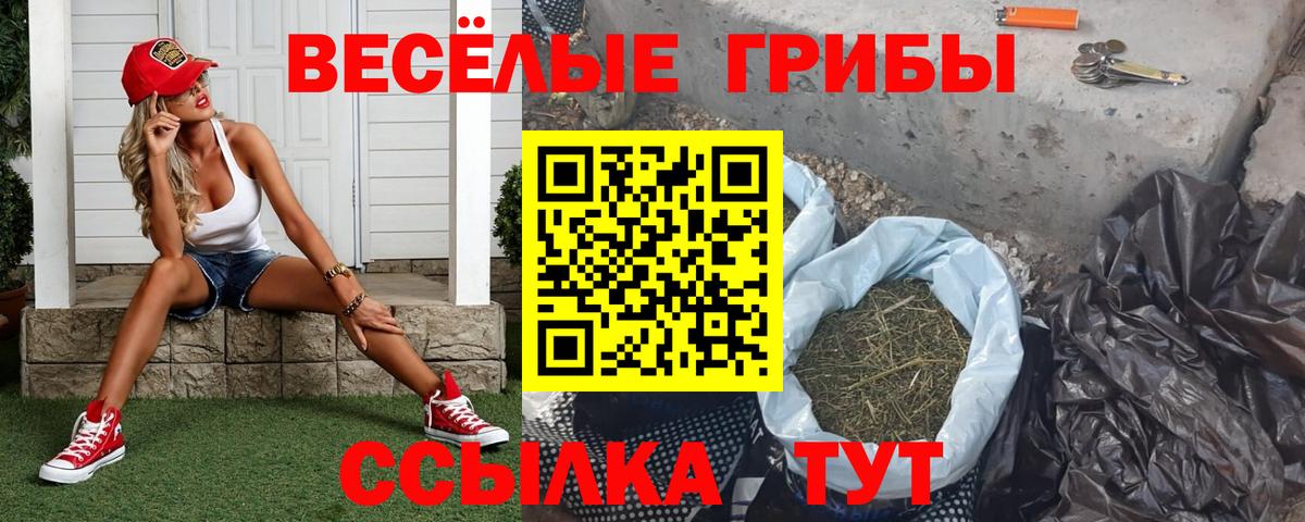 Галлюциногенные грибы GOLDEN TEACHER  Галлюциногенные грибы Cubensis  Подольск  Вход с VPN 