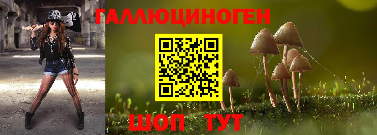 Псилоцибиновые грибы Cubensis Подольск